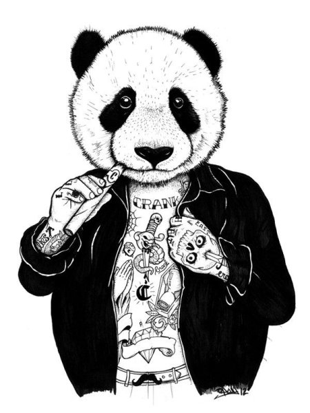 Панда на аву