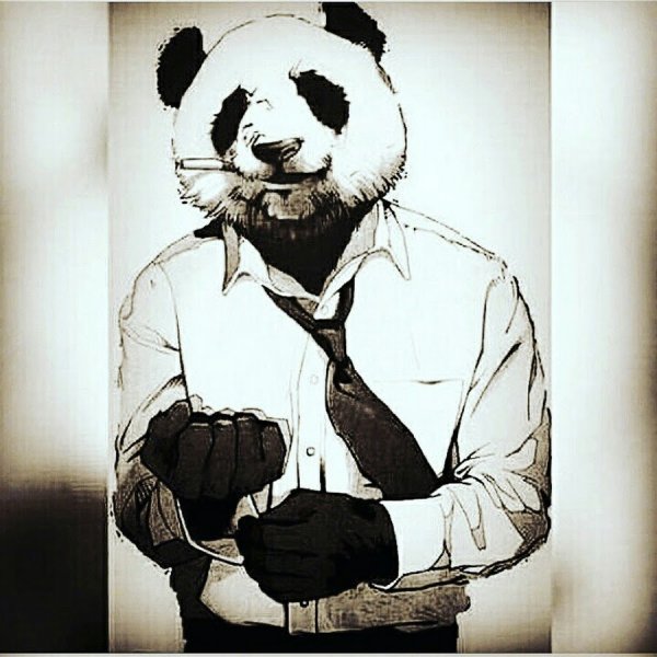 Костюм панды