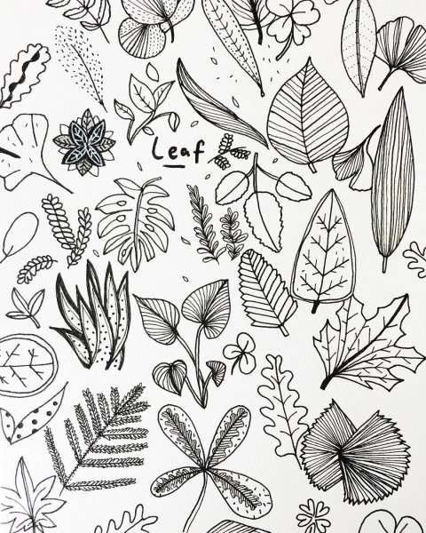 Раскраска Ёжик