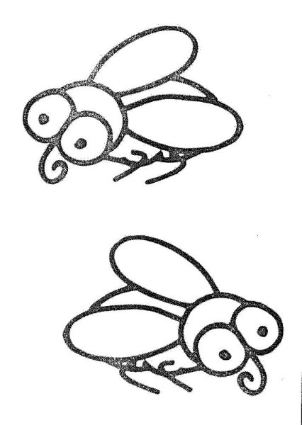 Муха раскраска для детей