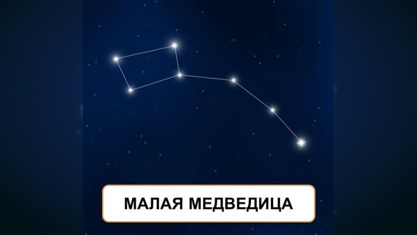 Созвездие большой и малой медведицы и Полярная звезда