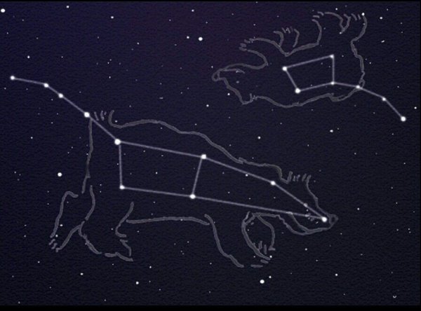 Созвездие большой и малой медведицы и Полярная звезда