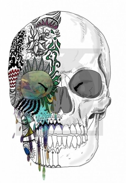 Крутые черепа