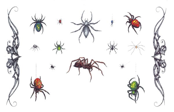 Тату паучок маленький эскиз