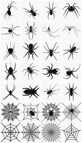 Тату паука маленькая