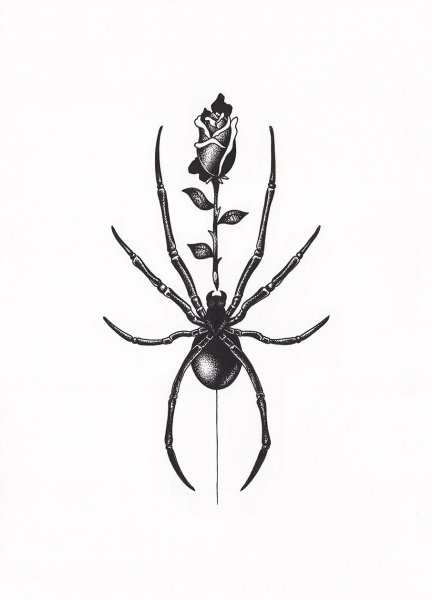 Эскизы пауков для тату