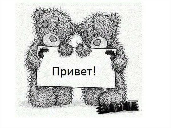 Кот Саймона ручка