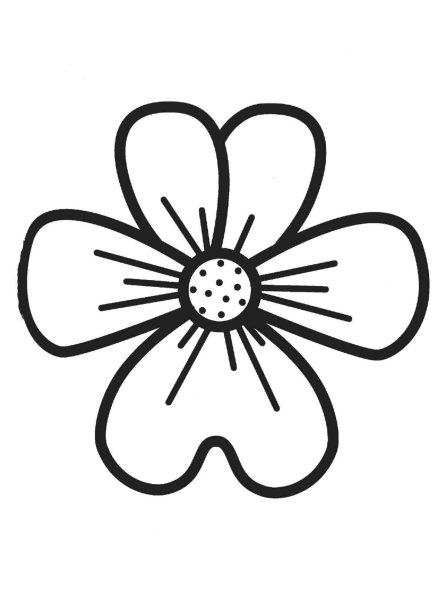 Раскраска цветочек