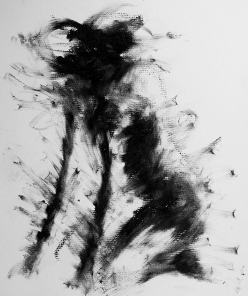 Интересные рисунки углем