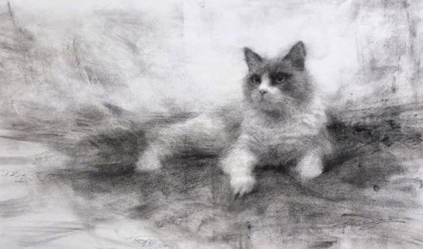 Рисунки углем животные