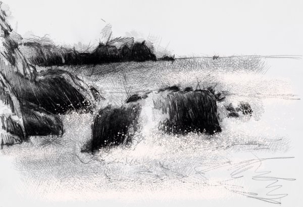 Рисунки углем