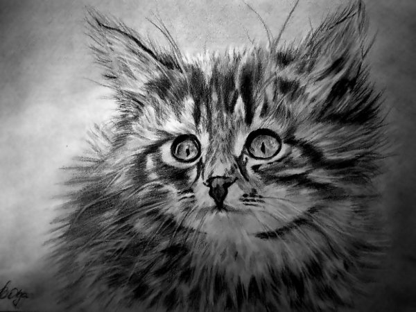 Рисунок углем для детей