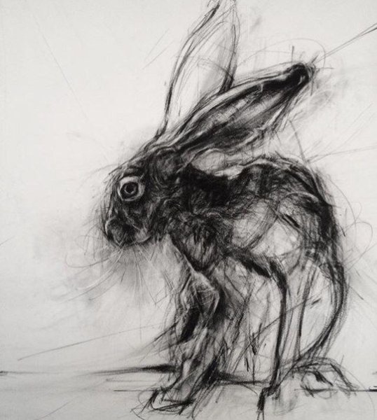 Животные углем