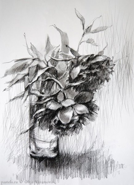 Наброски цветов углем