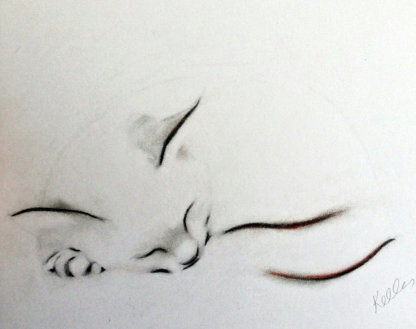 Художник Kellas Campbell