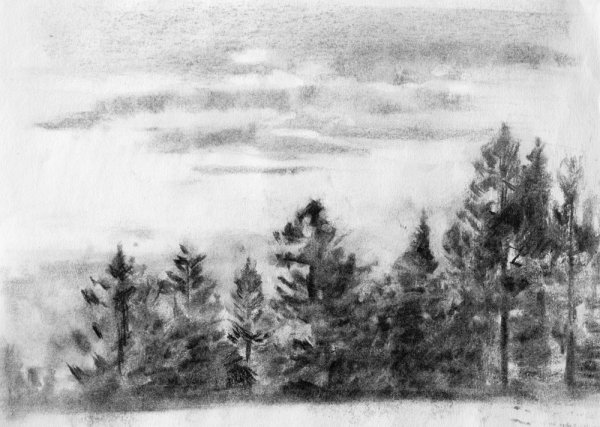 Рисование углем для начинающих