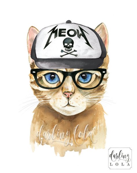 Кот в кепке рисунок