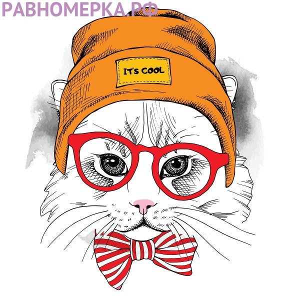 Котик в очках