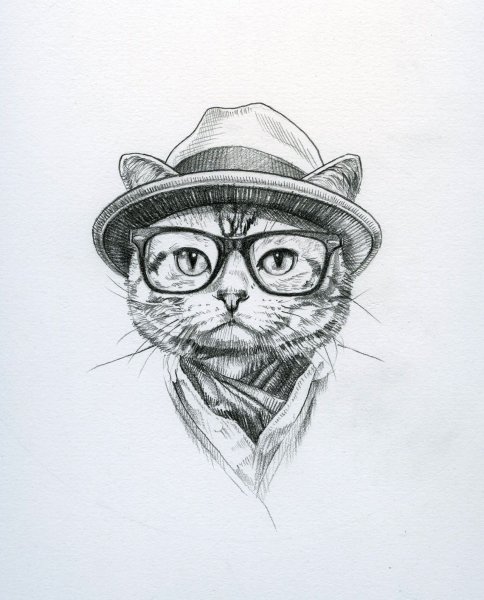 Тату кот в шляпе
