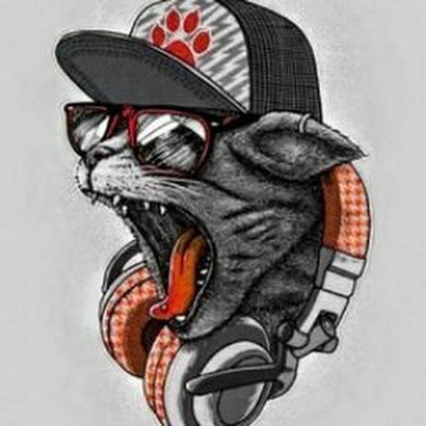 Аватарка с котиком в очках