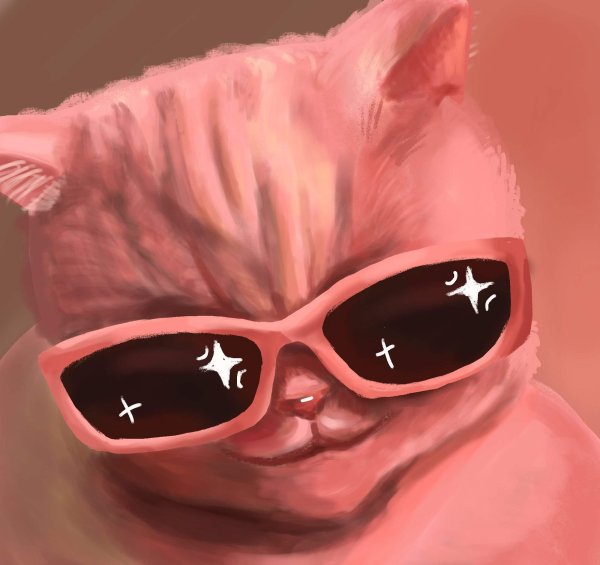 Кот в очках обои