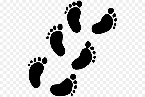 Следы шагов