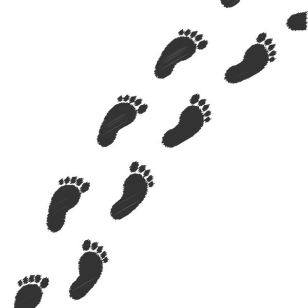 Дорожка со следами для детей