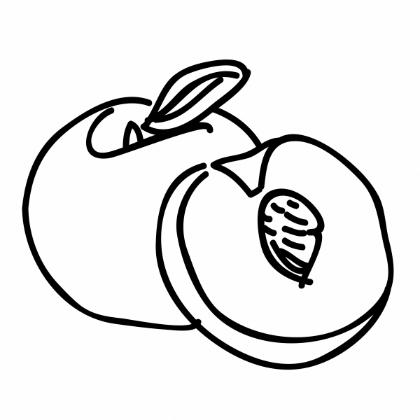 Персик контурный рисунок