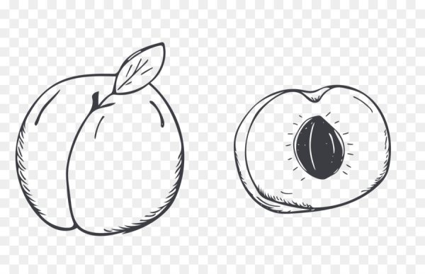 Персик скетч