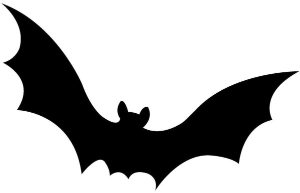 Летучая мышь