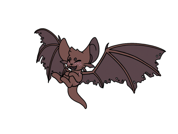 Летучая мышь Графика