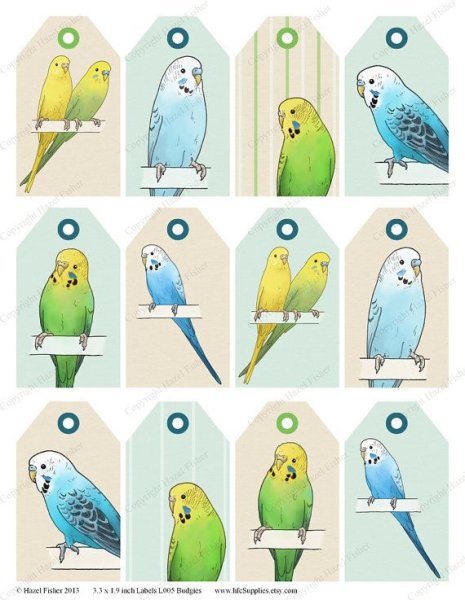 Наклейки волнистых попугаев