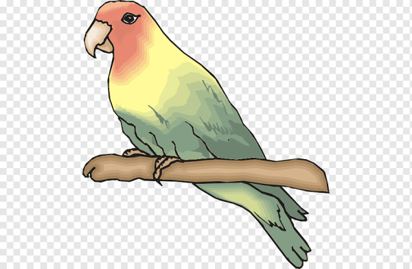 Маленькие рисунки попугайчиков