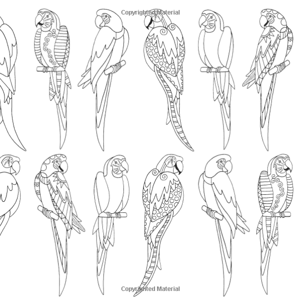 Раскраска волнистый попугайчик