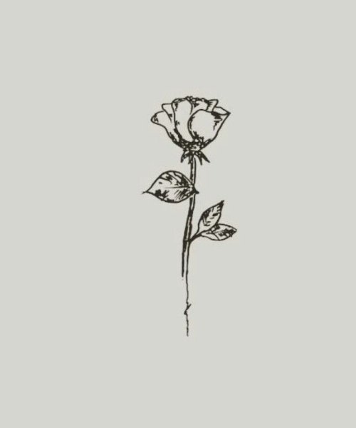 Роза со стеблем эскиз