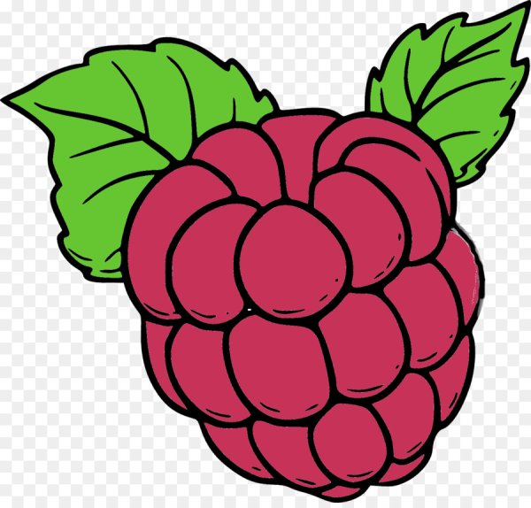 Малина рисунок