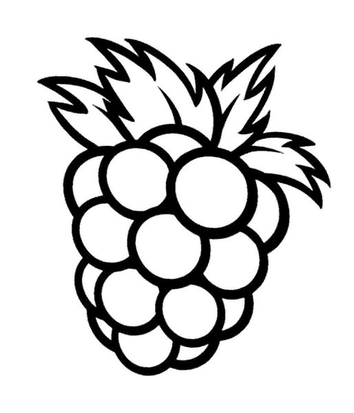 Малина цветными карандашами