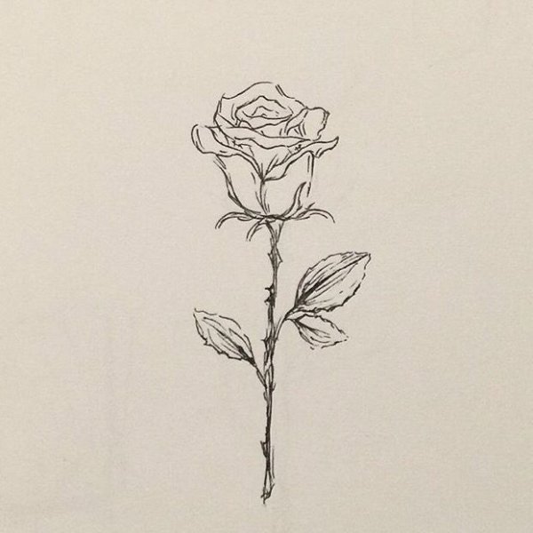 Тату роза со стеблем