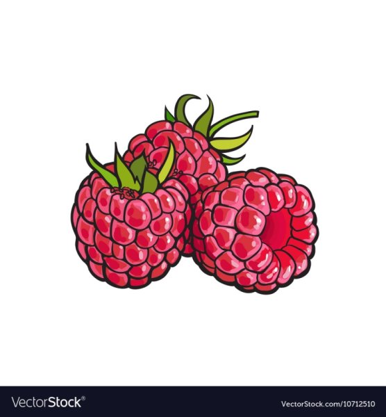 Малина акварель