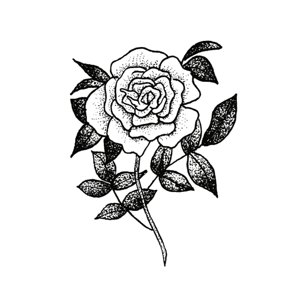 Розочка эскиз