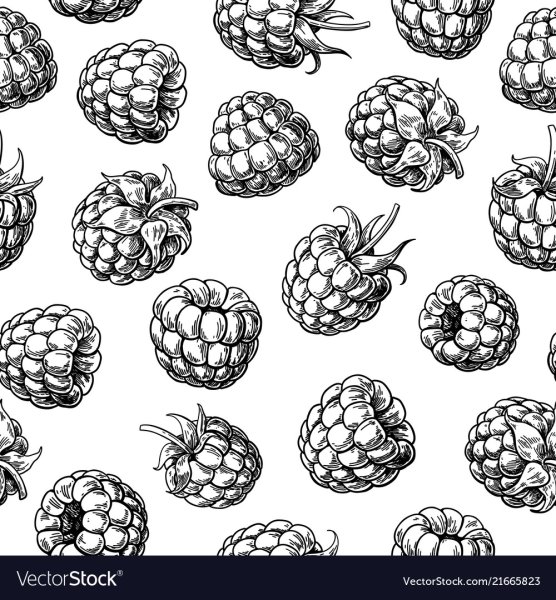 Изображение ягод для детей