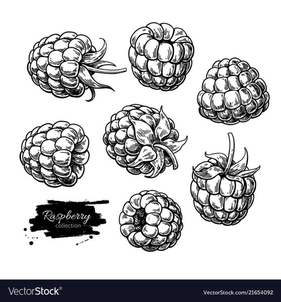 Малина нарисовать