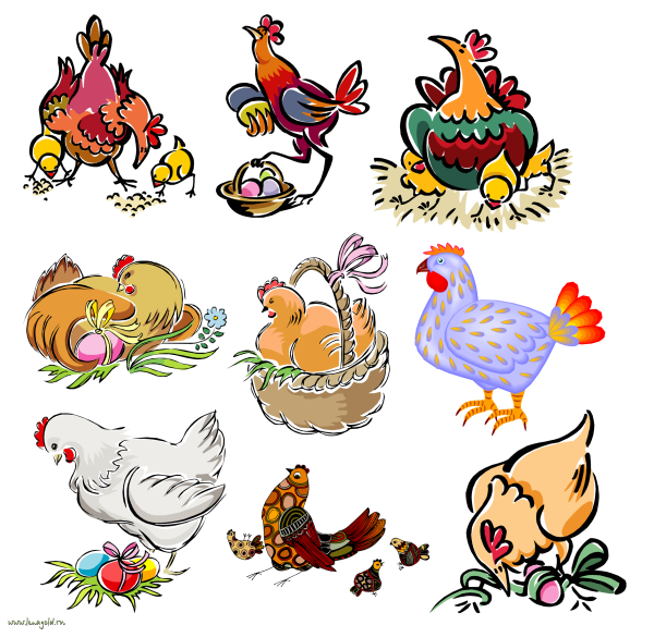 Курица раскраска для детей