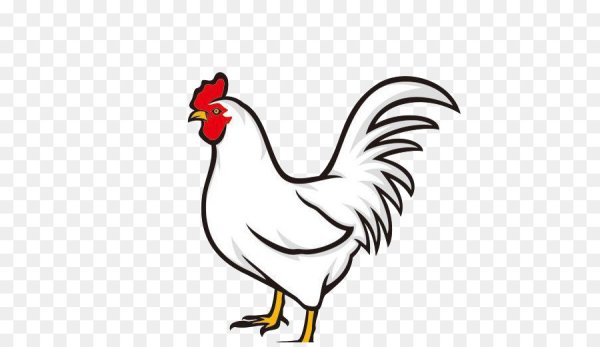 Как нарисовать курочку карандашом поэтапно для детей