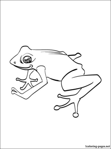 Лягушка древолаз раскраска