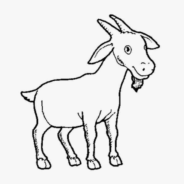 Коза рисунок для детей