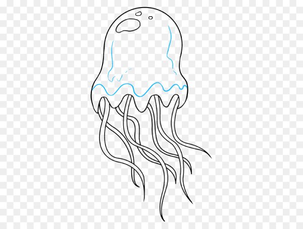 Медуза поэтапное рисование