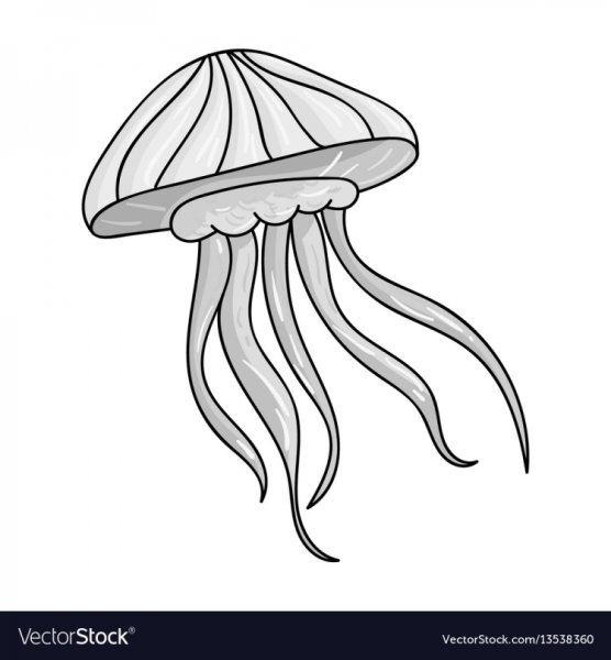 Медуза контур для детей