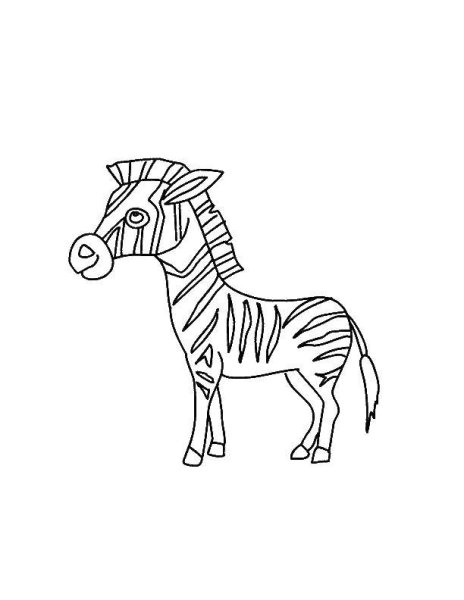 Маленькая Зебра раскраска