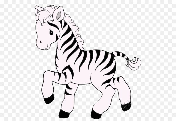 Зебра раскраска